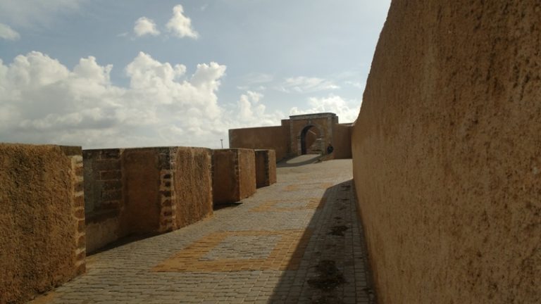 gallery grid image