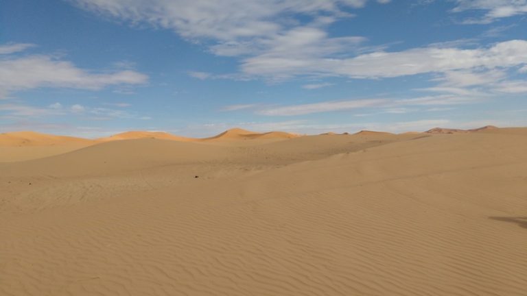 gallery grid image