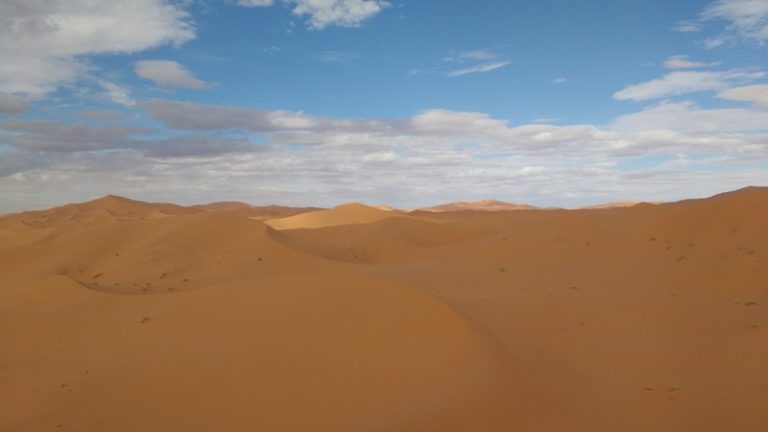gallery grid image