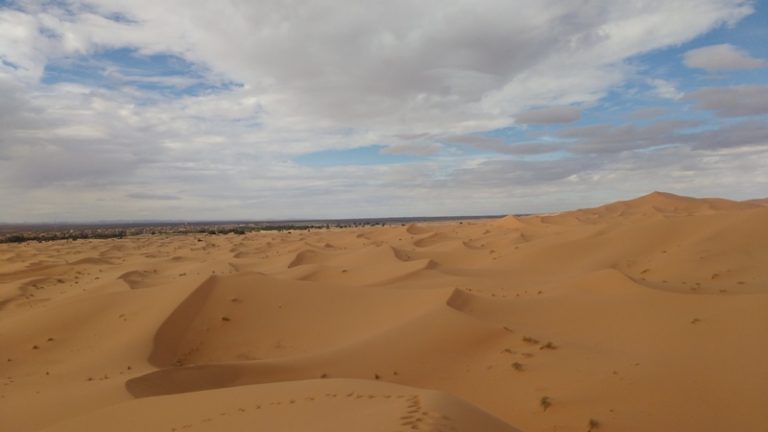 gallery grid image