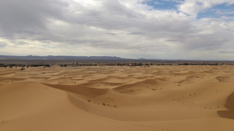 gallery grid image