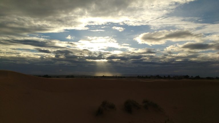 gallery grid image