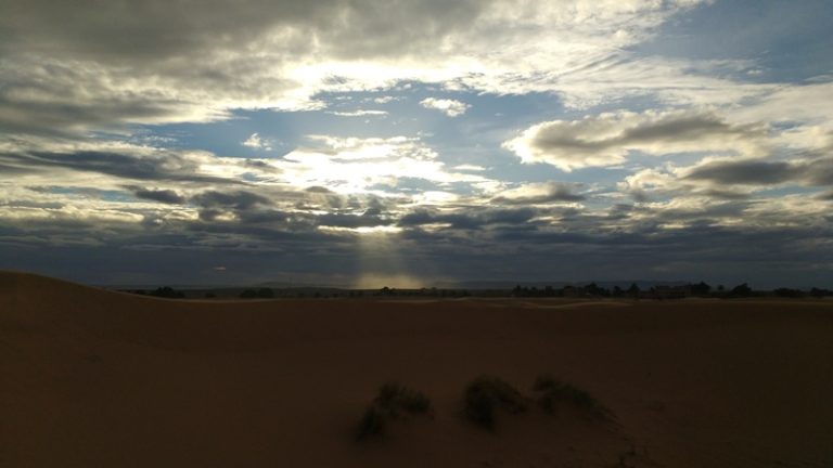 gallery grid image