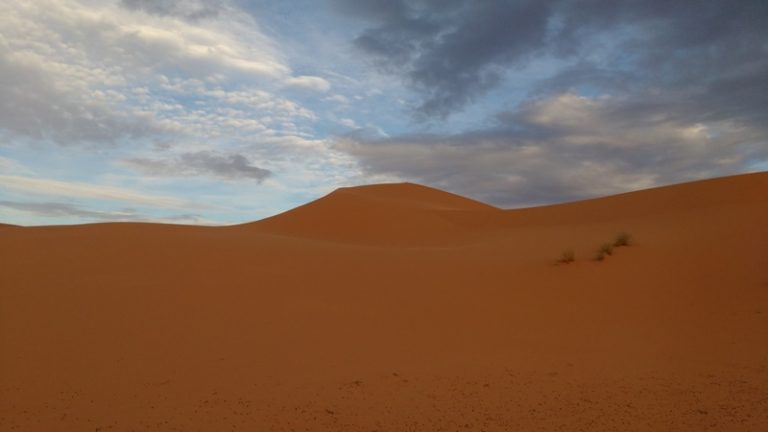 gallery grid image