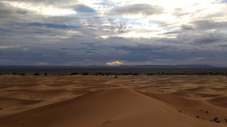 gallery grid image