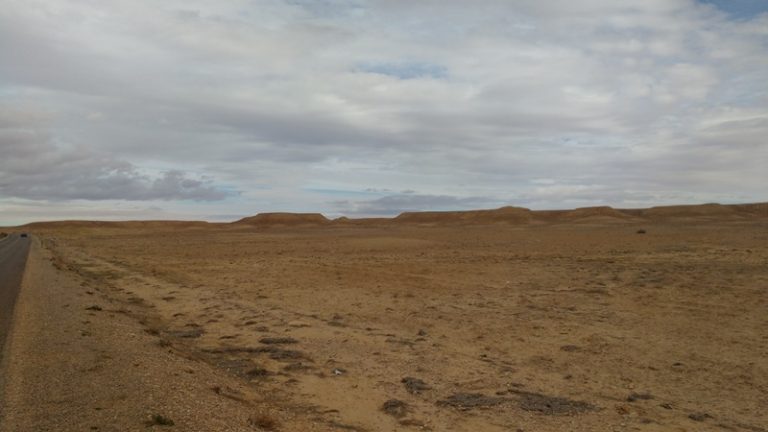 gallery grid image